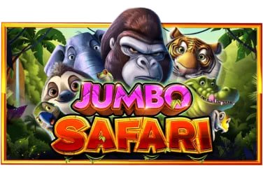 29 bet casino